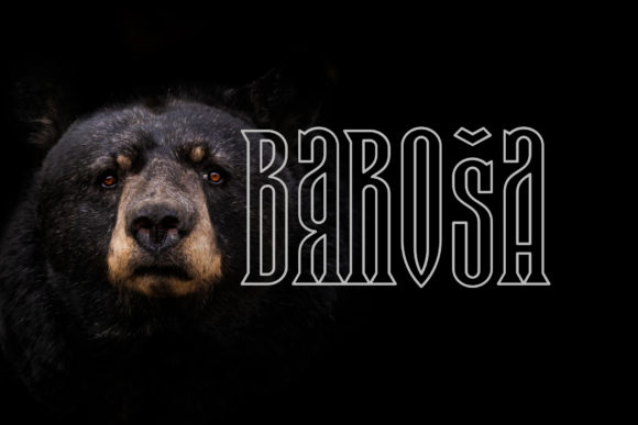 Baroša 3D Display Font for Handmade Product Designs